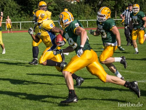 HR-15-08-22-17-10-41-5032