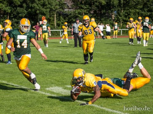 HR-15-08-22-17-13-03-5079