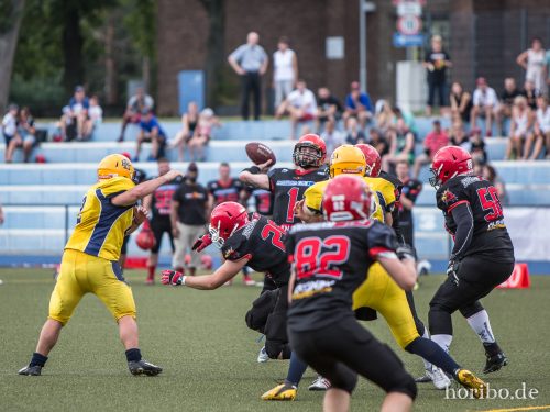 HR-15-08-30-16-13-22-5419