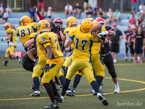 HR-15-08-30-16-22-21-5468