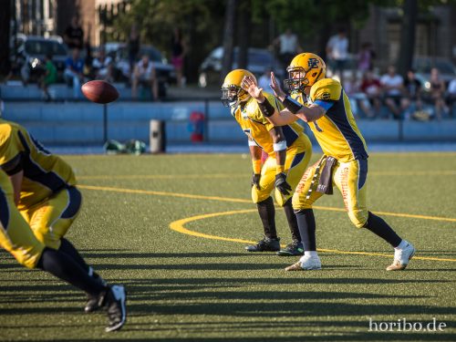 HR-15-08-30-17-59-25-5956