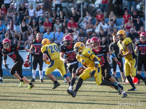 HR-15-08-30-18-09-41-6036