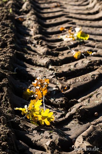 HR-15-10-11-15-21-50-7599