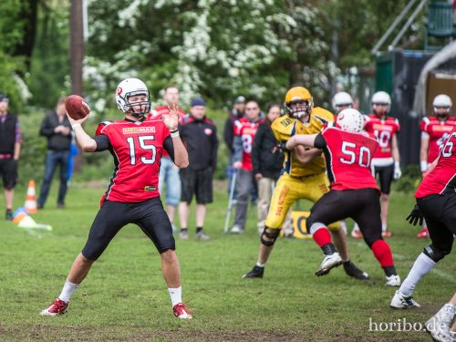 HR-16-05-14-17-41-15-2286