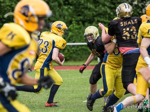 HR-16-05-21-16-24-00-2977