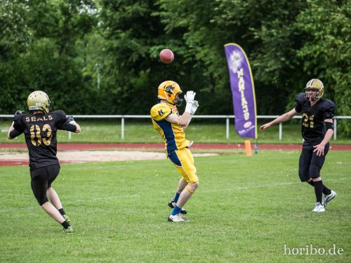 HR-16-05-21-16-33-04-3000