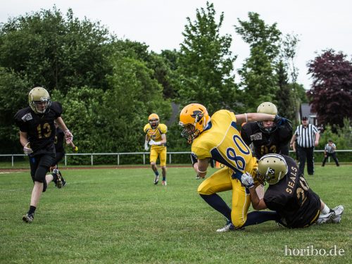 HR-16-05-21-16-33-40-3015