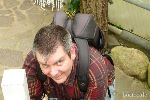 HR-16-06-15-12-55-14-1030052