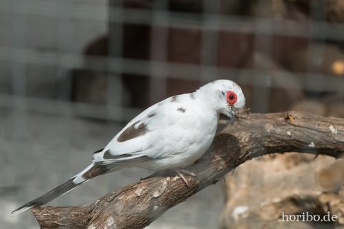 HR-16-06-15-13-40-46-3332