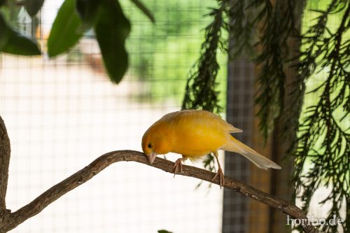 HR-16-06-15-13-41-30-3334