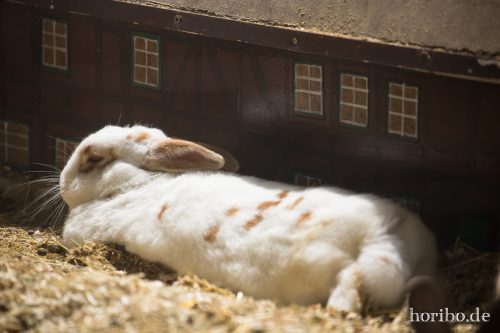 HR-16-06-15-13-46-36-3343