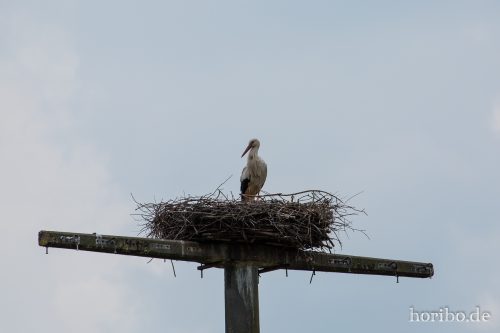 HR-16-06-15-16-09-23-3354