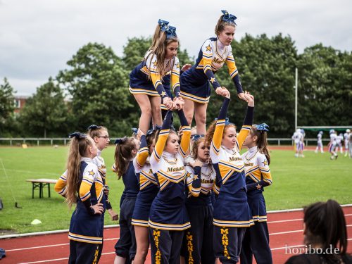 HR-16-06-19-14-19-09-3803