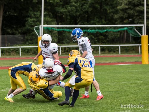 HR-16-06-19-15-01-08-3924