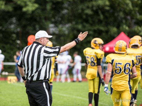 HR-16-06-19-15-17-24-4007