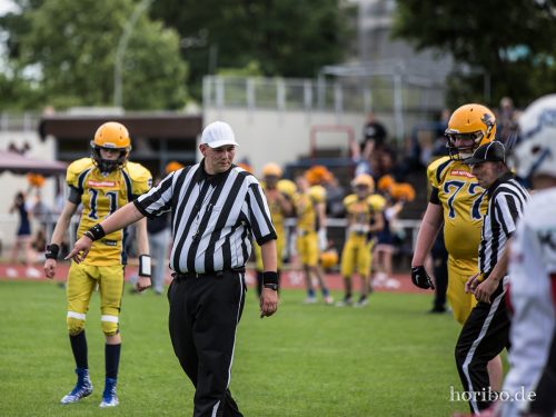 HR-16-06-19-16-53-14-4435