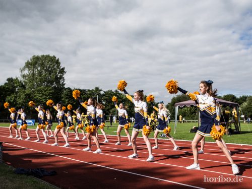 HR-16-06-19-17-15-43-4524