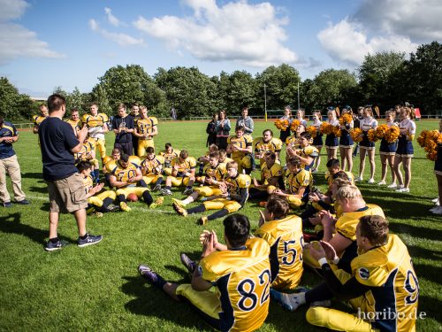 HR-16-06-19-17-20-20-4541