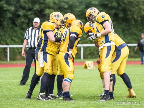 HR-16-06-25-17-08-53-4663