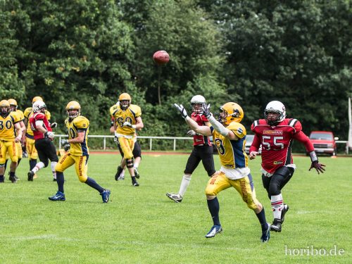 HR-16-06-25-17-24-31-4759