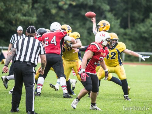 HR-16-06-25-17-28-00-4802