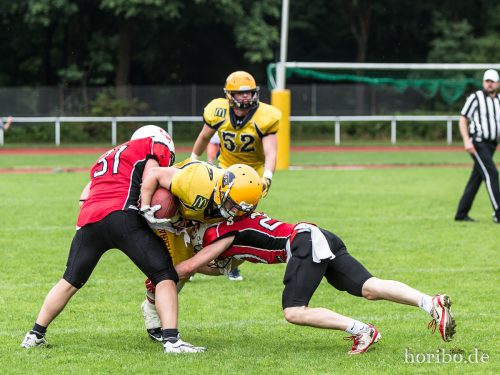 HR-16-06-25-17-40-20-4914