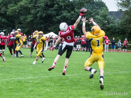 HR-16-06-25-18-41-40-5108