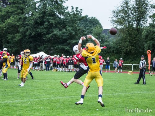 HR-16-06-25-18-41-41-5109