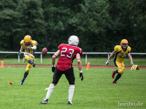 HR-16-06-25-19-18-04-5333