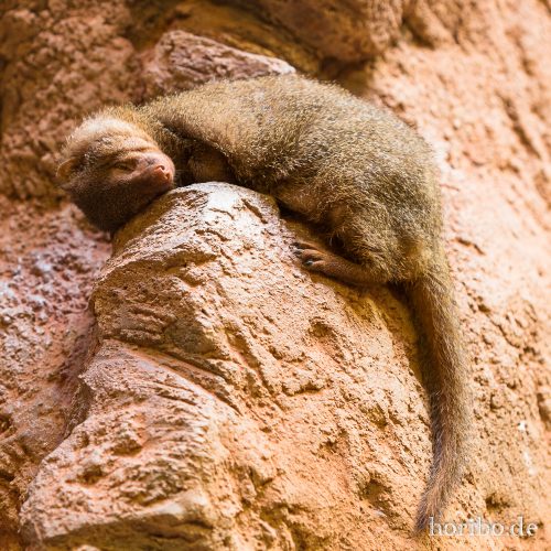 HR-16-06-28-10-58-26-5834