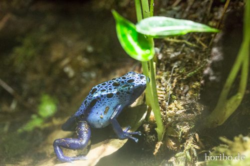 HR-16-06-28-11-07-55-5857