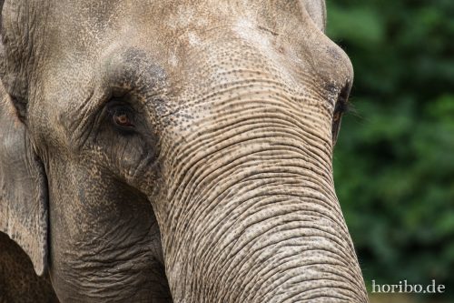 HR-16-06-28-12-02-43-5989