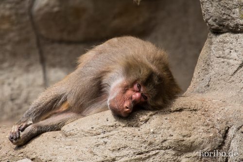 HR-16-06-28-12-25-44-6028