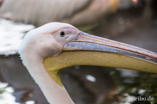 HR-16-06-28-12-38-24-6047