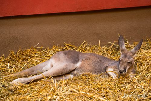 HR-16-06-28-12-42-56-6063