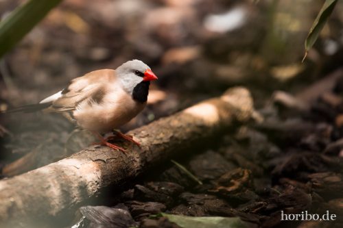 HR-16-06-28-12-43-08-6064