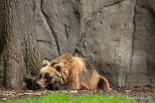 HR-16-06-28-12-47-29-6076