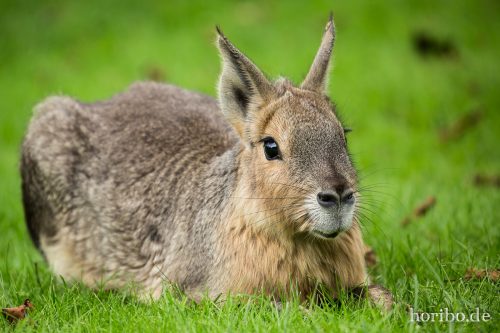 HR-16-06-28-14-05-39-6085