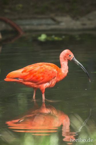 HR-16-06-28-14-20-45-6129