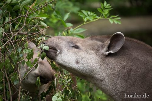 HR-16-06-28-14-22-43-6132