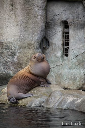 HR-16-06-28-14-52-02-6189