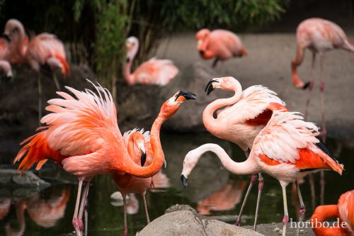 HR-16-06-28-15-57-55-6358