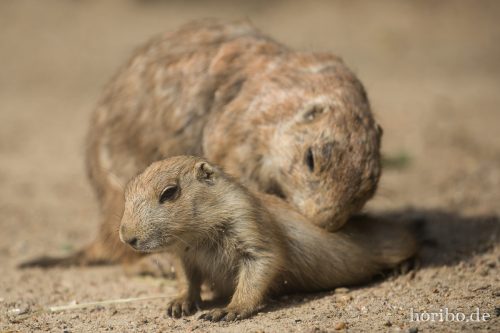 HR-16-06-28-16-46-49-6458