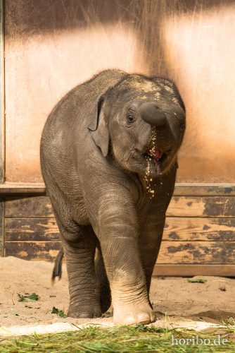 HR-16-06-28-17-40-11-6545