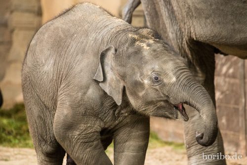 HR-16-06-28-17-44-15-6579