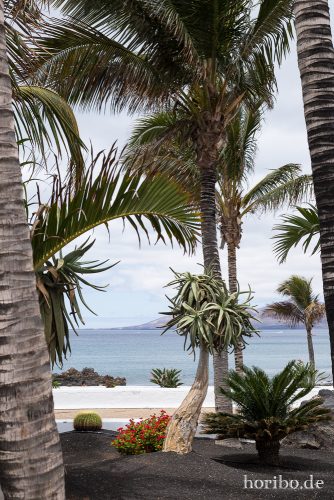 HR-16-07-06-13-46-56-6626