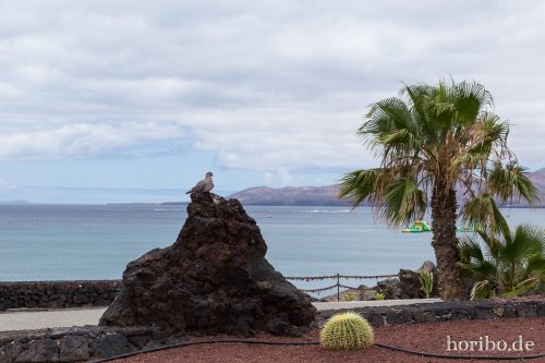 HR-16-07-06-13-51-13-6630