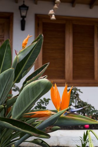 HR-16-07-06-16-19-42-6640