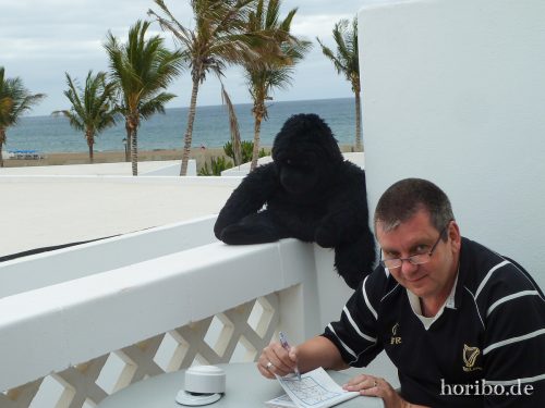 HR-16-07-07-11-24-26-1030090