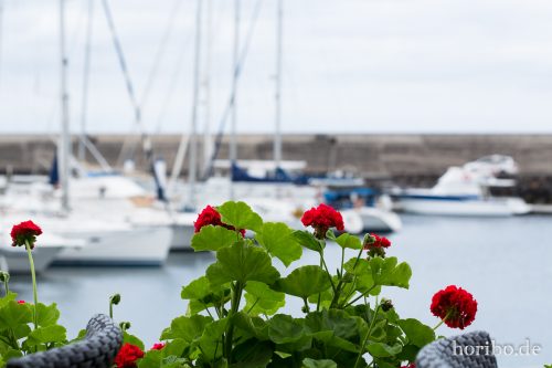 HR-16-07-07-13-04-46-6681